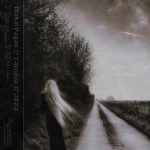 Street Sharks (Explicit)