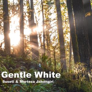 Gentle White