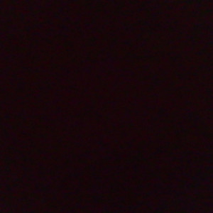 一起录快手 (Live)