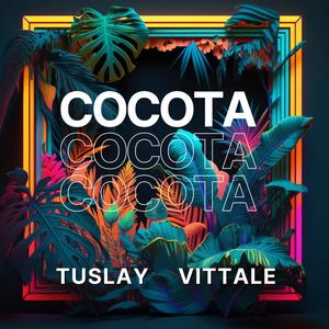 Cocota (feat. Vittale) (Explicit)