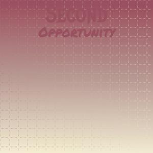 Second Opportunity