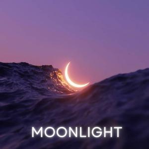 Moonlight (feat. Costa D'Ret)