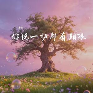 你说一切都有期限 (伴奏)