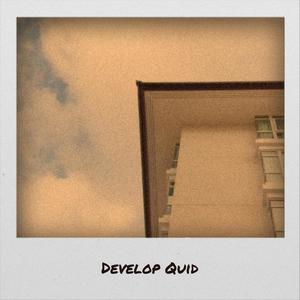 Develop Quid