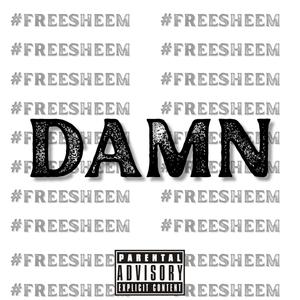 Damn (feat. Big Sheem) [Explicit]