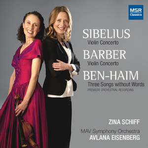 Violin Concerto In D Minor, Op. 47 - I. Allegro Moderato