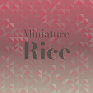 Miniature Rice