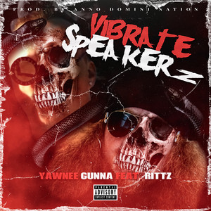 Vibrate Speakerz (Explicit)