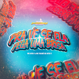 Pra Ver Se Ela Pega Uma Brisa (Explicit)