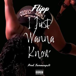 I Just Wanna Know (Explicit)