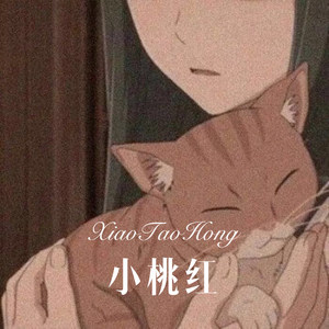 小桃红 (Remix)