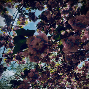 What's The Price (Explicit)