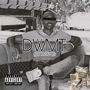 DWMT (Dont Waste My Time) (Explicit)
