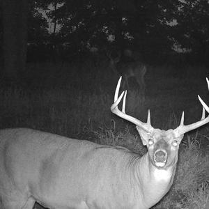 550 (feat. prayitdontjam) (Explicit)