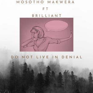 Do not live in denial (feat. Brilliant)
