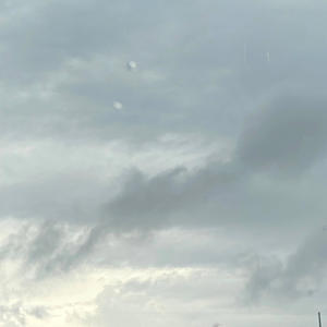 morning sex (Explicit)