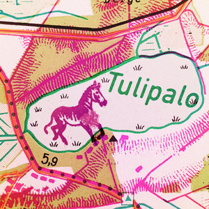 Tulipalo