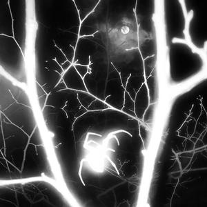 Trust Issues (feat. D K & Dreamii) (Explicit)