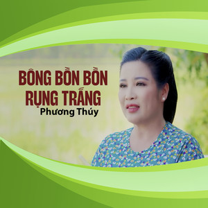 Bông Bồn Bồn Rụng Trắng