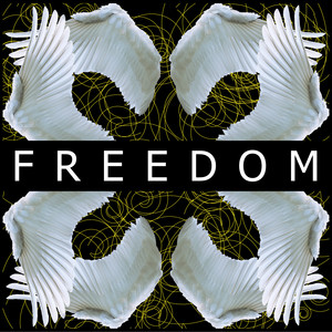 Freedom