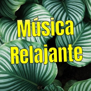 Música Relajante