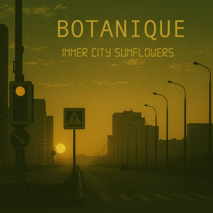 Inner City Sunflowers