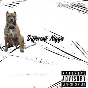 Different Nigga (Explicit)