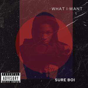 What I want (Explicit)