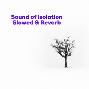 Sound Of Isolation (Slowed & Reverb Version) [Explicit]