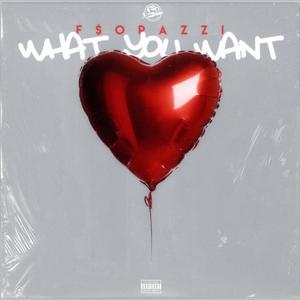 What You Want (Explicit)