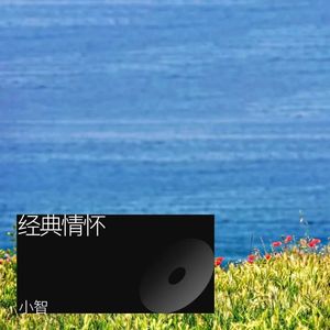 17岁