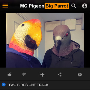 Two Birds One Track (Explicit)