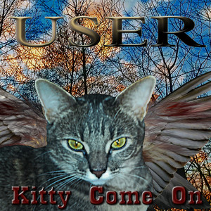 Kitty Come On