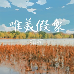 唯美假象