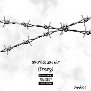 Zurück zu ihr (crazy) (Explicit)