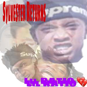 Sylvester Returns (Explicit)