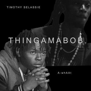 THINGAMABOB (DUO E.P) [Explicit]