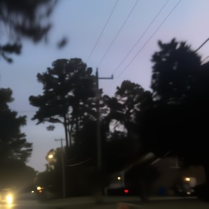 dead in the field of love