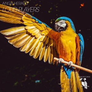 Loud Players (Night Mix)