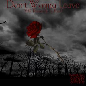 Don't Wanna Leave (feat. Li Rye) (Explicit)