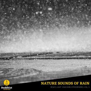 Nature Sounds of Rain - Dewy, Light and Dark Atmospheres, Vol. 5