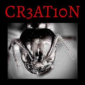 I'm So Bored Of The BBC (Explicit)