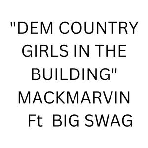 DEM COUNTRY GIRLS IN THE BUILDING (feat. BIG SWAG) [Explicit]