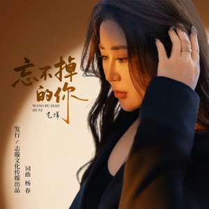 忘不掉的你 (伴奏) - 艺洋封面