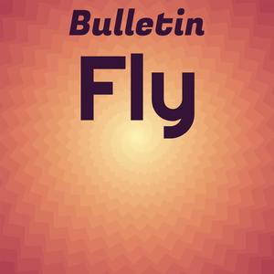 Bulletin Fly