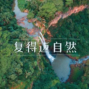 复得返自然 : 清新自然爱好者要听的大自然歌曲和自然白噪音