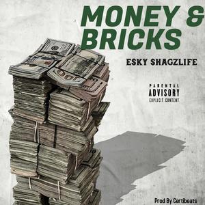 Money and bricks