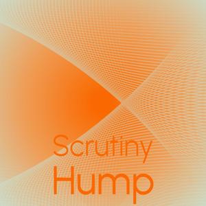 Scrutiny Hump