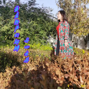 乘着歌声的翅膀