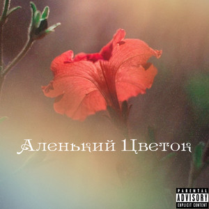 Аленький цветок